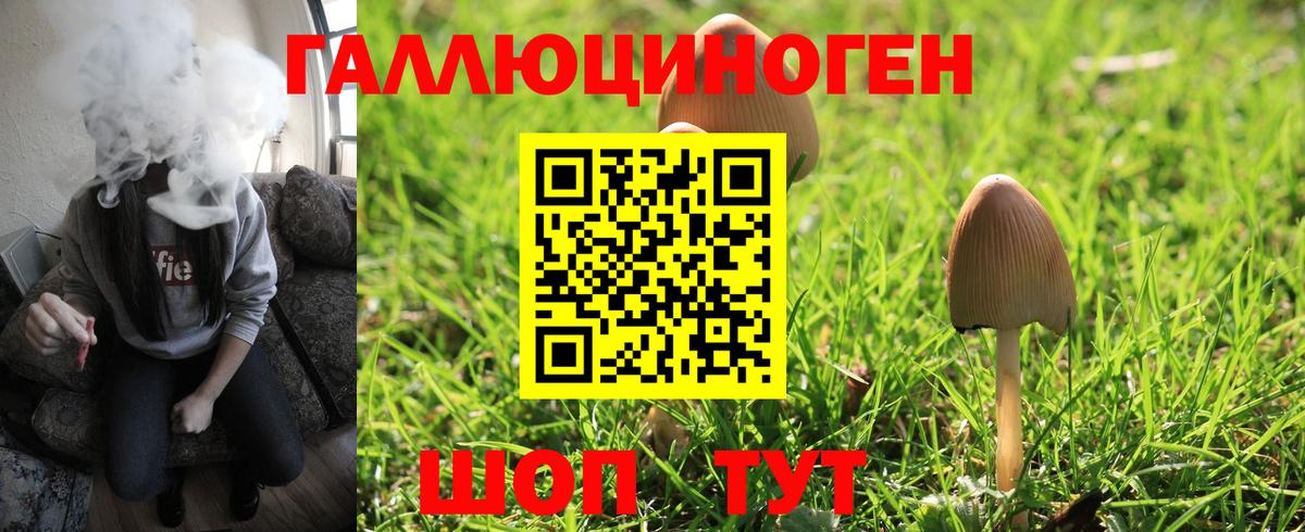 Строитель  купить закладку  Вход с VPN  Галлюциногенные грибы GOLDEN TEACHER 