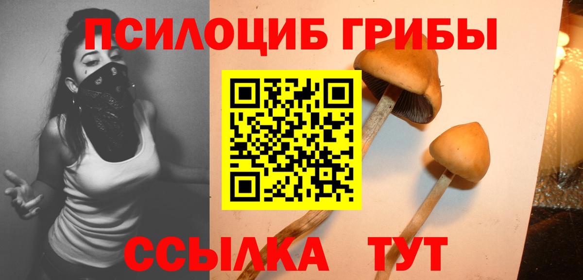 Галлюциногенные грибы Psilocybe Строитель